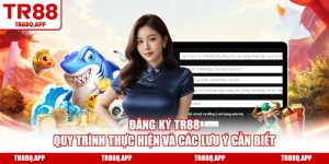 Đăng Ký TR88 - Quy Trình Thực Hiện Và Các Lưu Ý Cần Biết