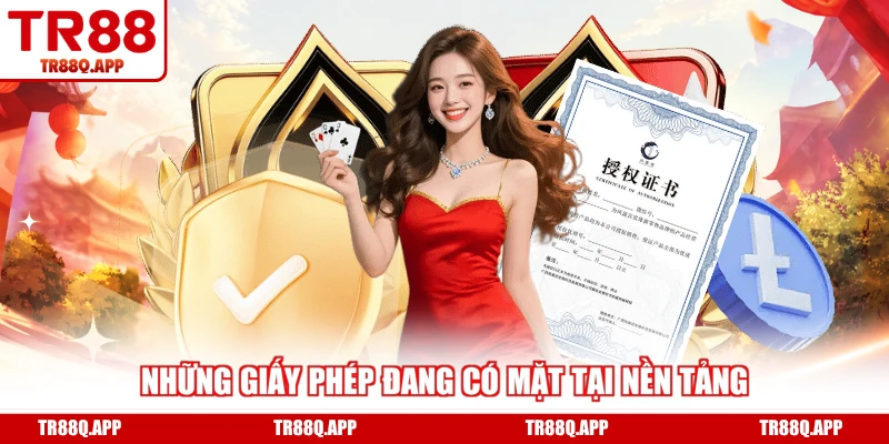 Những giấy phép đang có mặt tại nền tảng